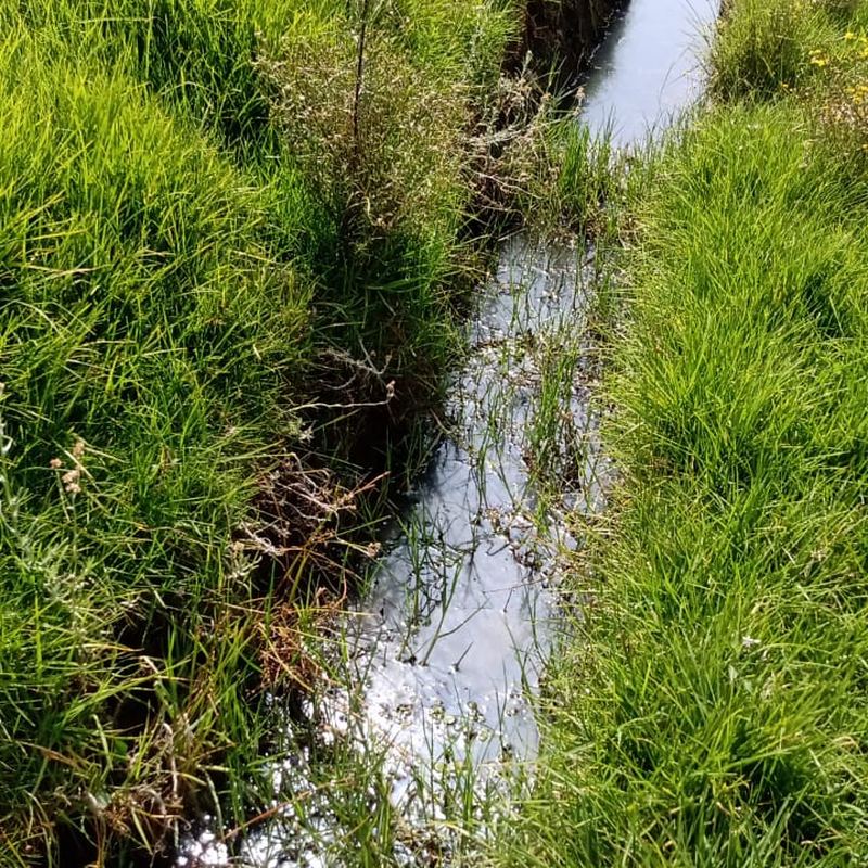 Canal con el espejo de agua despejado 27 días después
